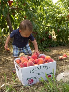 16d10-2015_072boliver2b19-212bmonth-125